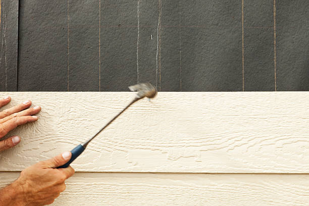 Best Steel Siding Installation  in Thoreau, NM